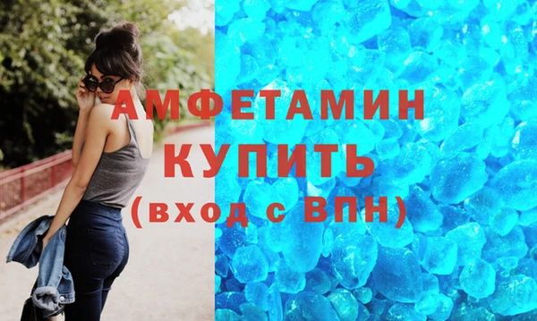 шишки Аркадак