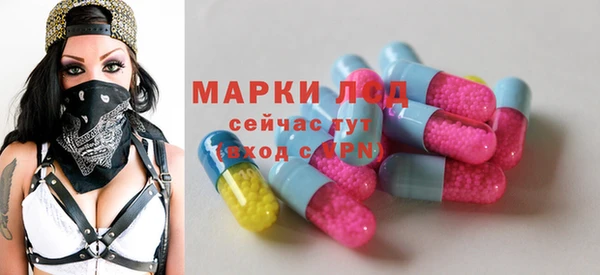 индика Армянск