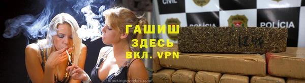 индика Армянск