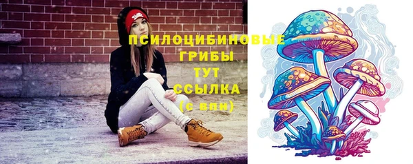 индика Армянск