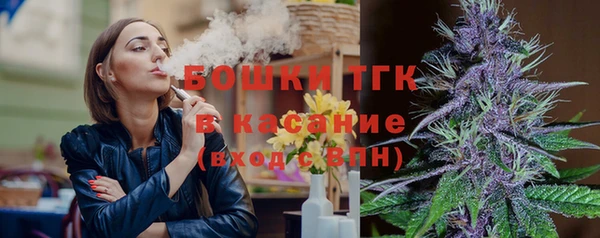 шишки Аркадак