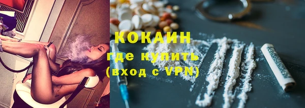 шишки Аркадак